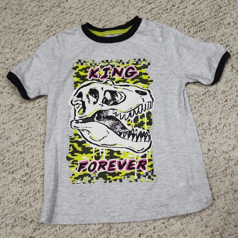 Gray Dinosaur Graphic Kids T-Shirt